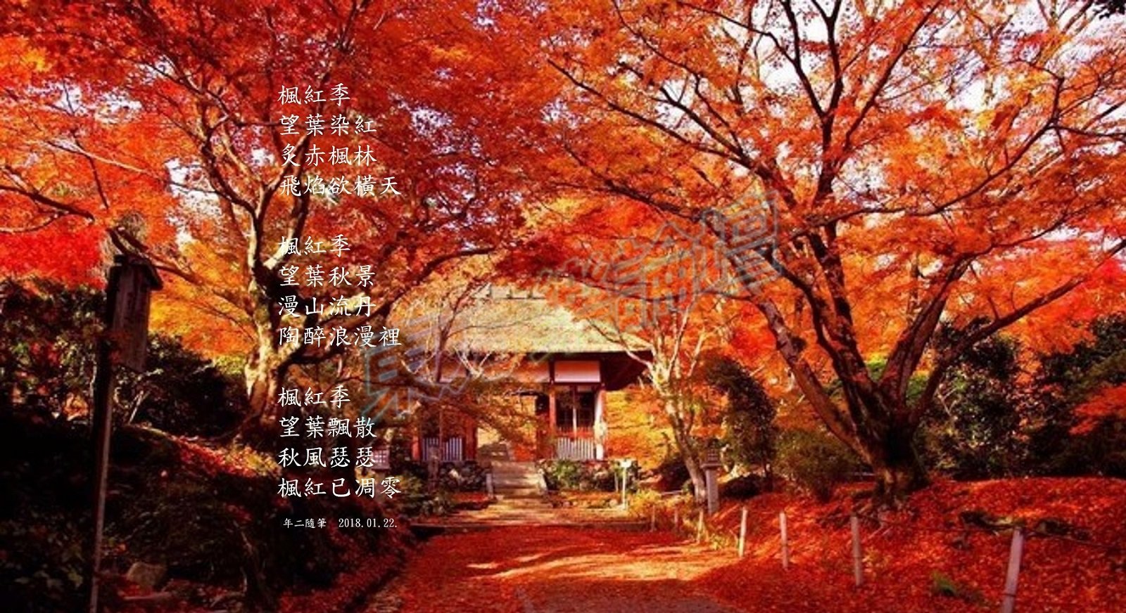 楓紅季.jpg