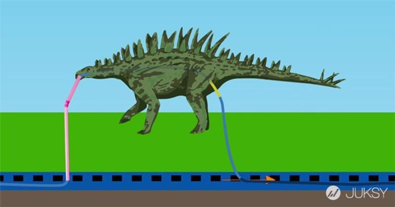 不管你喝號稱多純淨的地下水，都是遠古時期恐龍的尿。